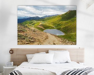 Springtime floral diversity in the Vinschgau mountains – alpine snowbells, cotton grass and alpine meadows against an impressive backdrop of mountain peaks. by Miriam Schwarzfischer Fotografie