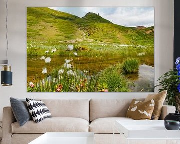 In spring, the Vinschgau mountains in South Tyrol are adorned with alpine flowers, cotton grass and fresh mountain landscapes. An impressive combination of natural diversity and alpine expanse. by Miriam Schwarzfischer Fotografie