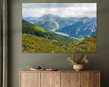 In spring, the Vinschgau mountains in South Tyrol are adorned with alpine flowers, cotton grass and fresh mountain landscapes. An impressive combination of natural diversity and alpine expanse. by Miriam Schwarzfischer Fotografie