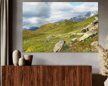 In spring, the Vinschgau mountains in South Tyrol are adorned with alpine flowers, cotton grass and fresh mountain landscapes. An impressive combination of natural diversity and alpine expanse. by Miriam Schwarzfischer Fotografie