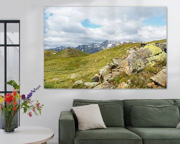 In spring, the Vinschgau mountains in South Tyrol are adorned with alpine flowers, cotton grass and fresh mountain landscapes. An impressive combination of natural diversity and alpine expanse. by Miriam Schwarzfischer Fotografie