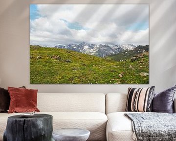 In spring, the Vinschgau mountains in South Tyrol are adorned with alpine flowers, cotton grass and fresh mountain landscapes. An impressive combination of natural diversity and alpine expanse. by Miriam Schwarzfischer Fotografie
