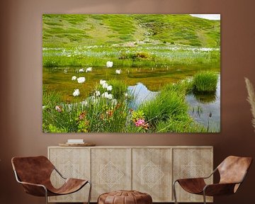 In spring, the Vinschgau mountains in South Tyrol are adorned with alpine flowers, cotton grass and fresh mountain landscapes. An impressive combination of natural diversity and alpine expanse. by Miriam Schwarzfischer Fotografie