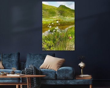 In spring, the Vinschgau mountains in South Tyrol are adorned with alpine flowers, cotton grass and fresh mountain landscapes. An impressive combination of natural diversity and alpine expanse. by Miriam Schwarzfischer Fotografie