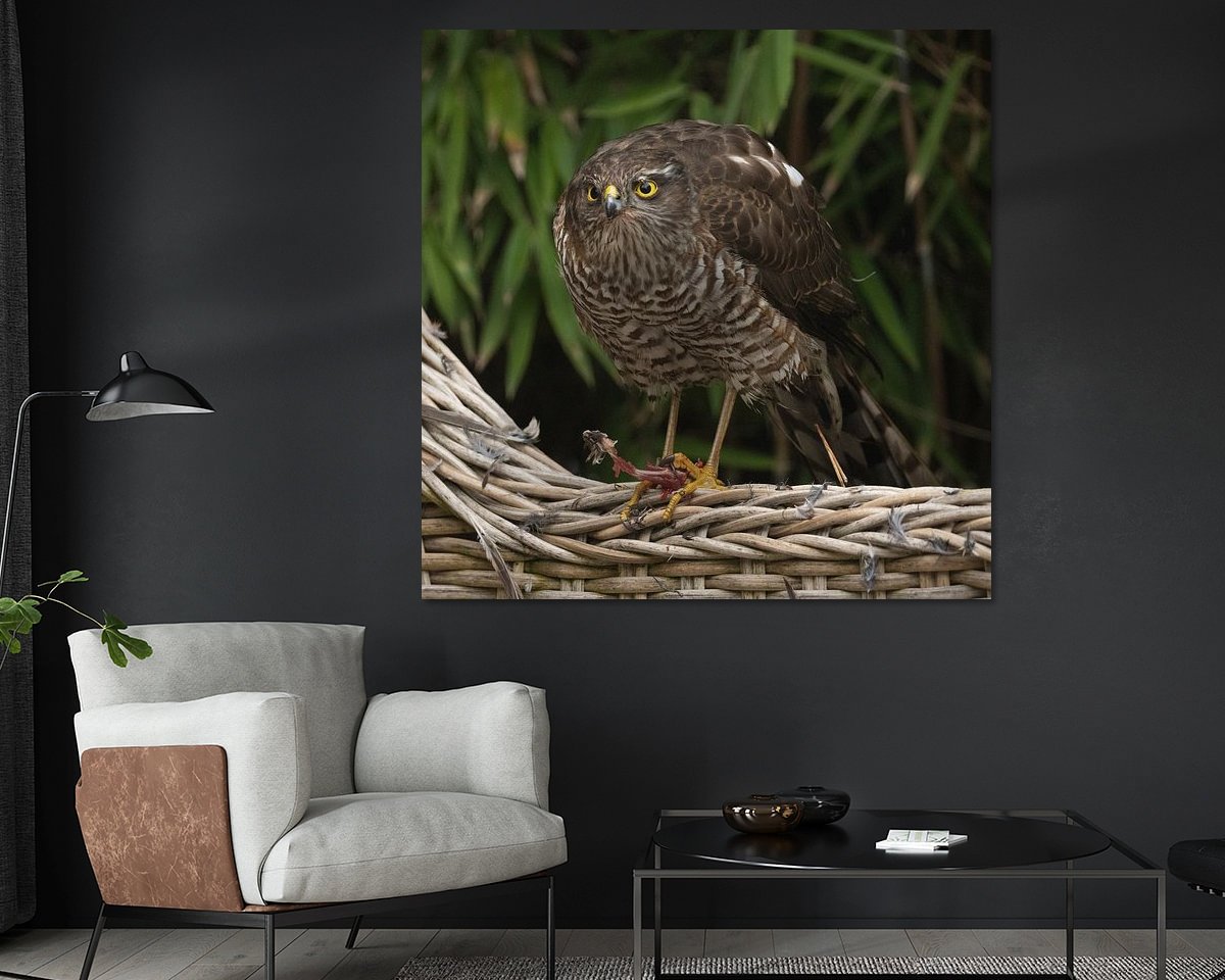 Voorbeeld van het werk in een kamer