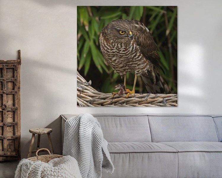 Aperçu de la chambre