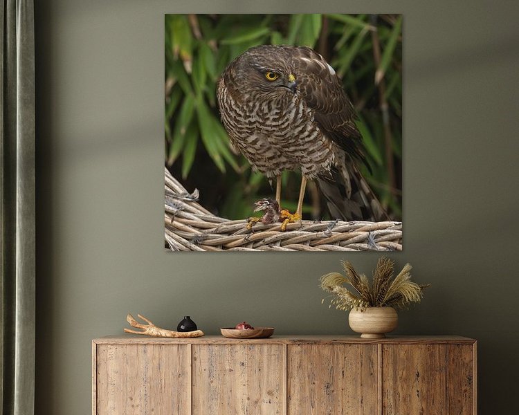 Aperçu de la chambre