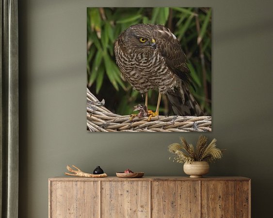 Aperçu de la chambre