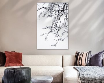 Minimalistische bloesem tak in zwart-wit | Fine art natuurfotografie van Gertinez Gallery