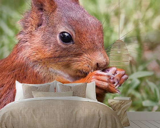 Aperçu de la chambre