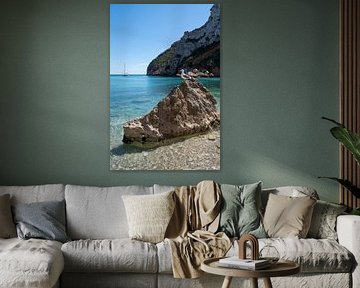 Seagull on a rock watching the coast by Adriana Mueller