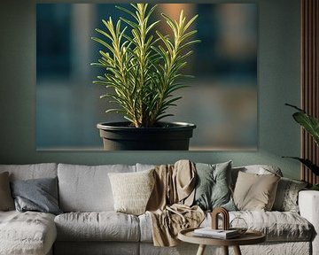 Spicy rosemary with bokeh glow by Imperial Art House