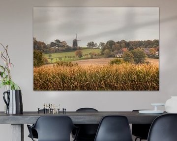 Molen op de Vrouwenheide von John Kreukniet