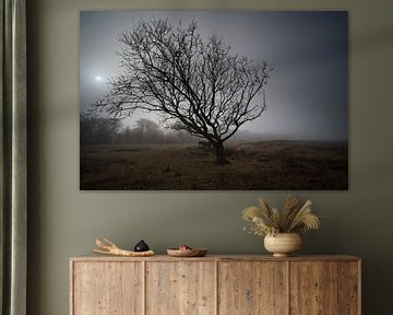 Arbre et cheval sur Theo Felten