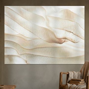 Puur (Auszug aus verwelkten Blättern)