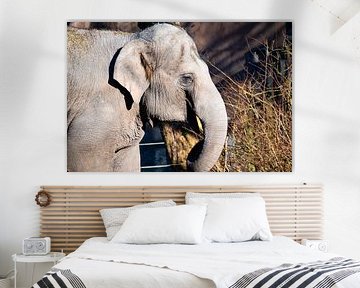 Huile sur Truckpowerr