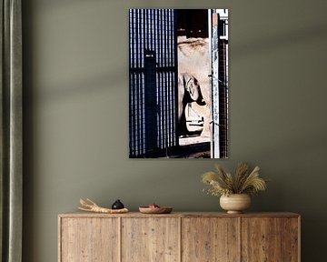 Baby Elephant by Truckpowerr