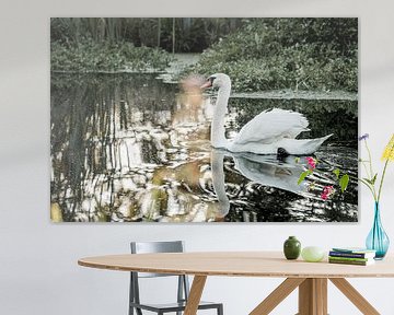 Cygne sur une eau miroitante Scène paisible dans la nature