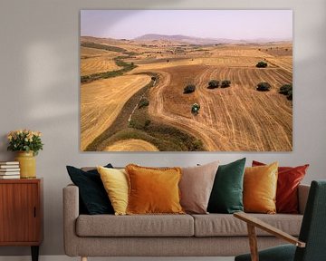 Chickpea harvest in golden landscape by Ewold Kooistra