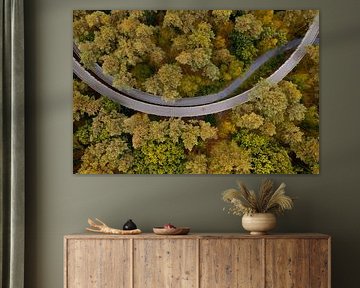 Radfahren durch den Wald aus der Vogelperspektive von Ewold Kooistra