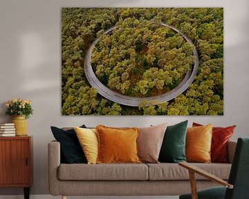 Radfahren durch die Bäume in Belgien von Ewold Kooistra