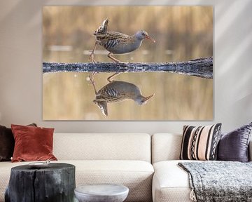 Spiegelnde Wasserralle 1 von Jasper Kok