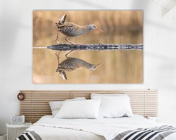 Spiegelnde Wasserralle 2 von Jasper Kok