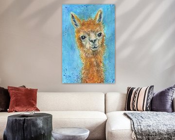 Farbenfrohes Alpaka Portrait von Karen Kaspar