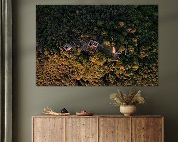 Burgruine im Herbstwald aus der Luft von Ewold Kooistra