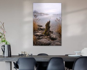 Mistige stilte aan het Kochelmeer