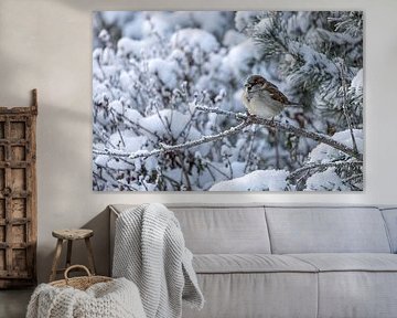 De kleine mus in de winter