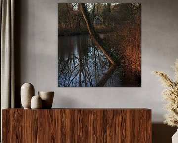 Stadtpark Groningen (Niederlande) von Marcel Kerdijk