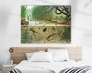 In Gräben und Pfützen, M.A. Koekkoek