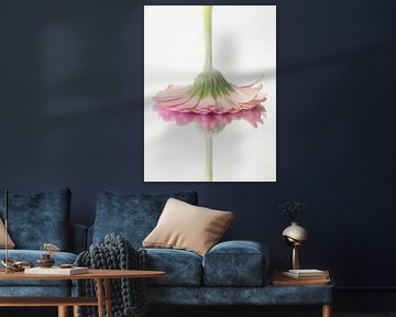 Réflexion douce sur Heleen Padje