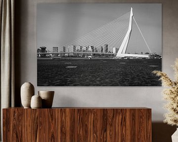 The Swan low to the ground by Edwin Muller