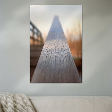 Givre le long des nervures du bois