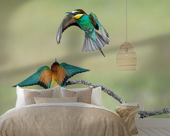 Aperçu de la chambre