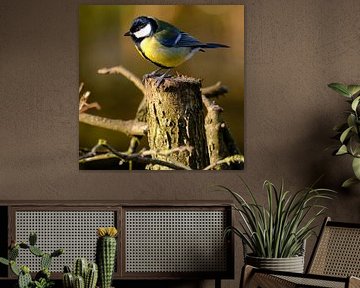 Koolmees van Sabrina de Vries