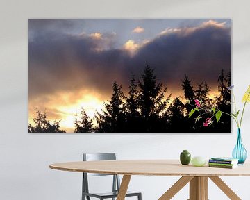 Lever du soleil à la lisière de la forêt sur Sabrina de Vries