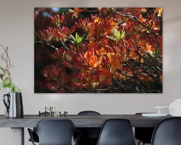 Rhododendron by Tatjana Korneeva