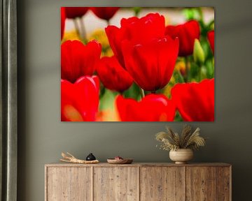 Mer lumineuse de tulipes rouges