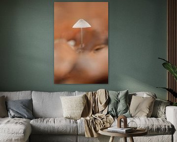 Petit champignon parmi les feuilles d'automne | photographie de voyage imprimée | Pays-Bas