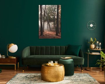 L'automne sur la crête d'Utrecht | Photographie de voyage imprimée | Lage Vuursche, Pays-Bas