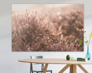 Photo détaillée de bruyère en fleurs | impression photographique de voyage | Posbank Pays-Bas