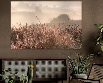 Posbank avec détails de bruyère au premier plan | impression photographique de voyage | Pays-Bas