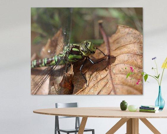 Aperçu de la chambre