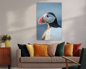 Papageientaucher-Porträt | Reisefotografie-Druck | Island