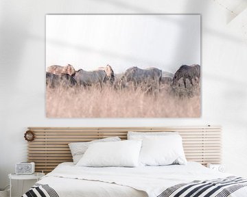 Chevaux Konik dans les Oostvaardersplassen | photographie de voyage imprimée | Pays-Bas