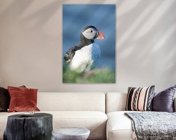 Porträt eines Papageientauchers auf einer Klippe | Reisefotografie-Druck | Island