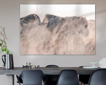 Chevaux Konik dans les Oostvaardersplassen | photographie de voyage imprimée | Pays-Bas